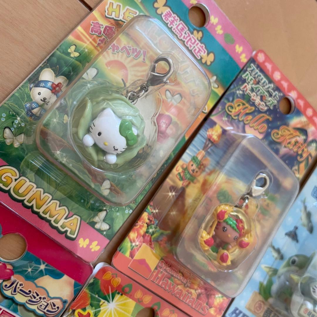 【キティ】 終売品 チャーム6つ 群馬福島滋賀新潟東京静岡