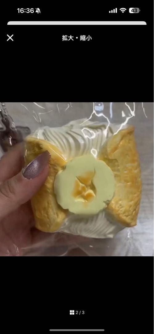 きのこのこページ