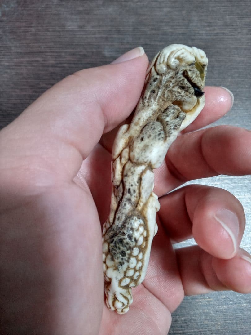 根付 角？ 骨？ 貝？ ホネガイ | 貝の図鑑