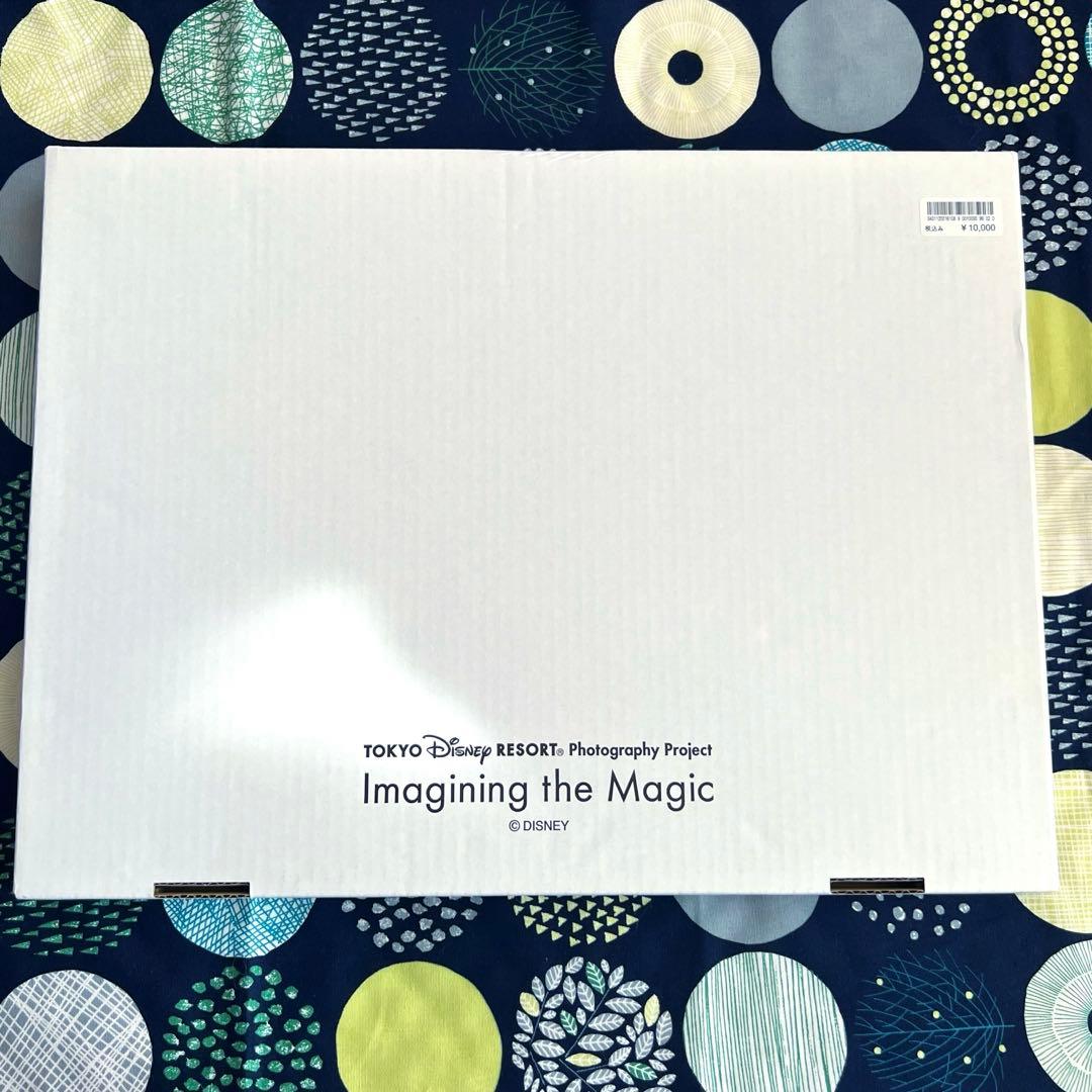 東京ディズニーリゾート Imagining the Magic アートパネル