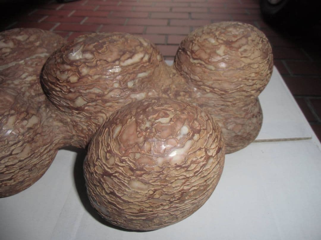 特大 恐竜卵蚕連体の化石