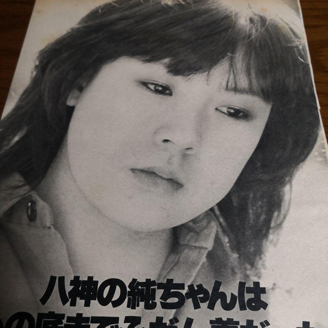 八神純子 切り抜き - メルカリ