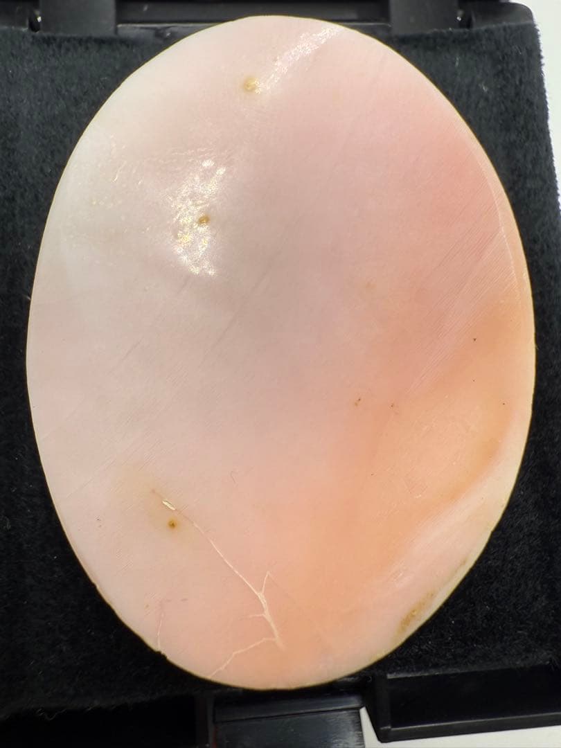 ピンクシェル カメオ （大） 18.02g