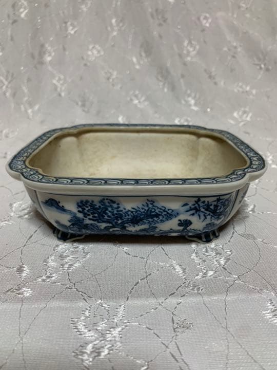 春花彩　盆栽鉢