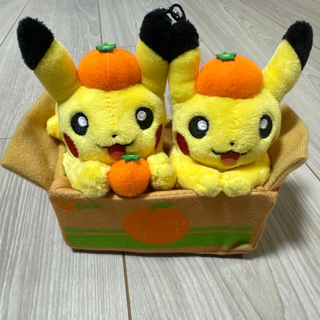 ペアピカチュウとえひめみかん ピカチュウ エミフル 愛媛 ポケモン