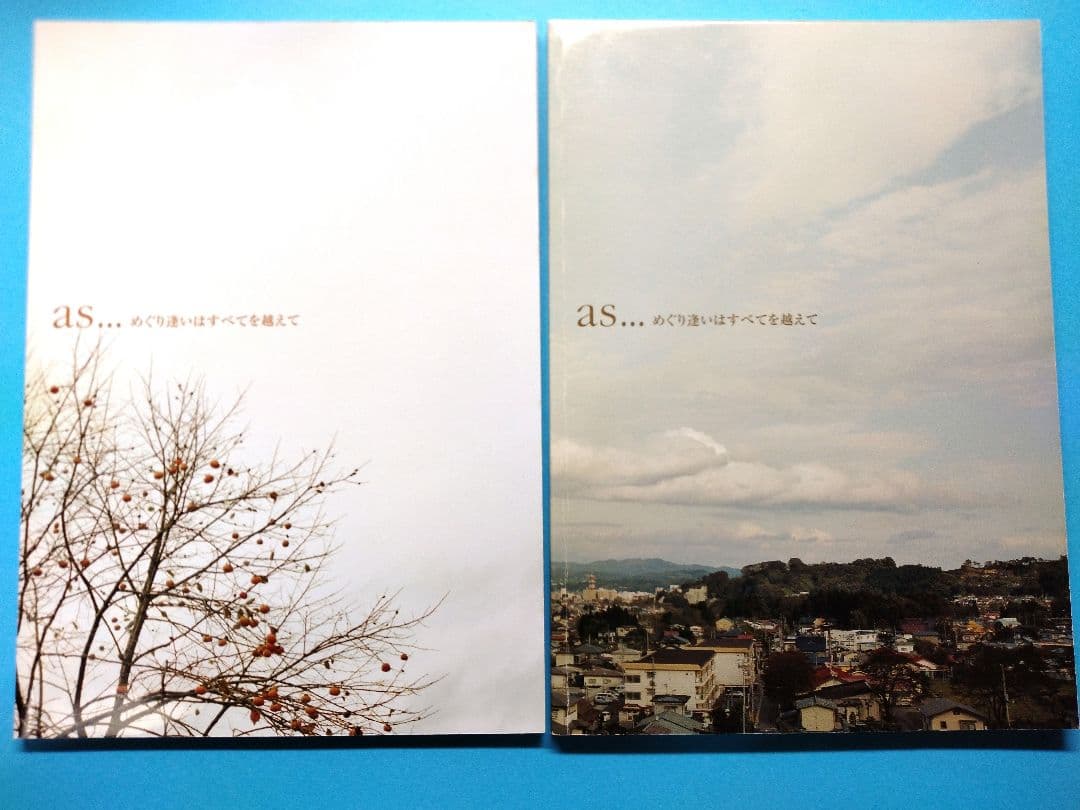 NSP　as... めぐり逢いはすべてを越えて DVD