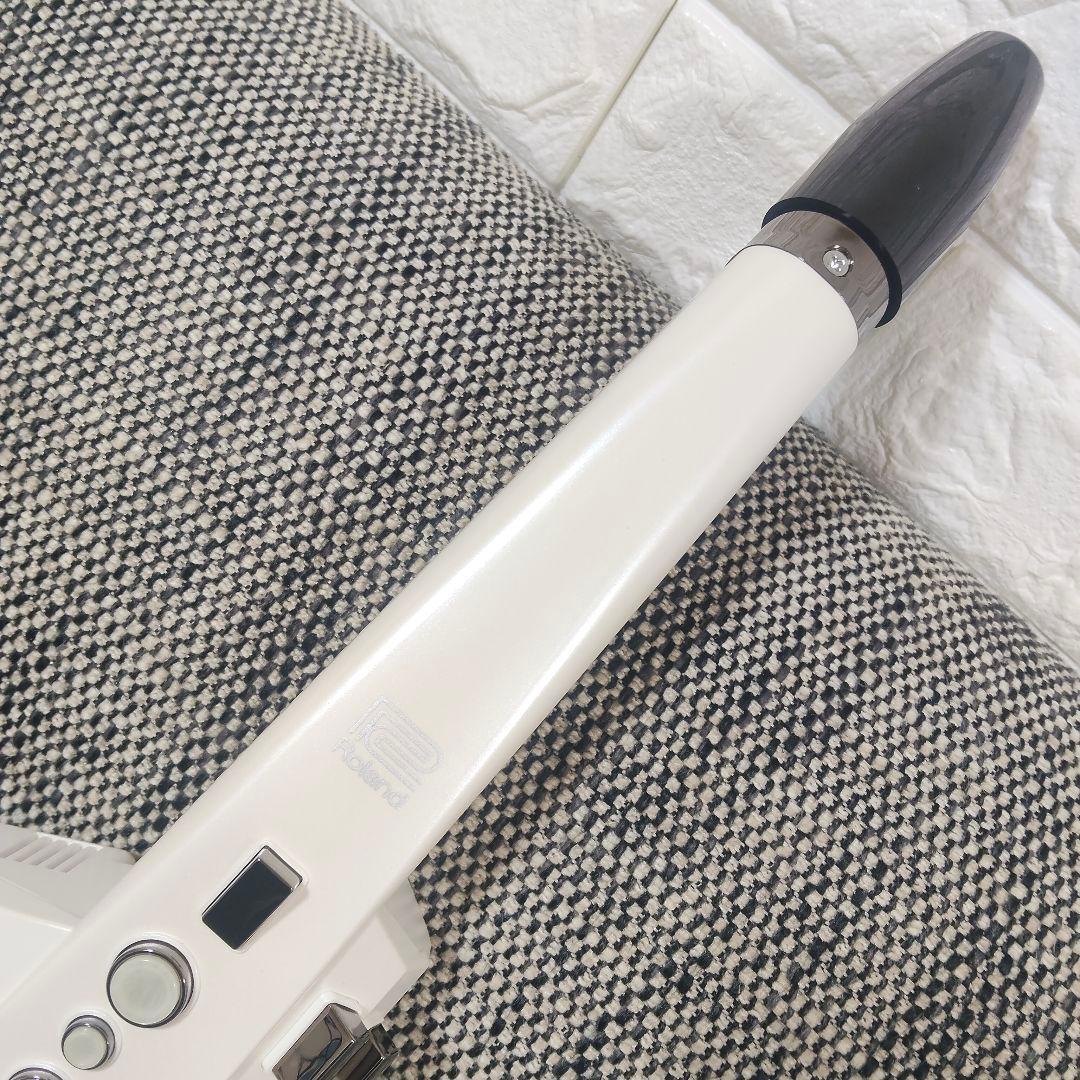 Roland Aerophone AE-10 ホワイト ケース・マウスピース付き