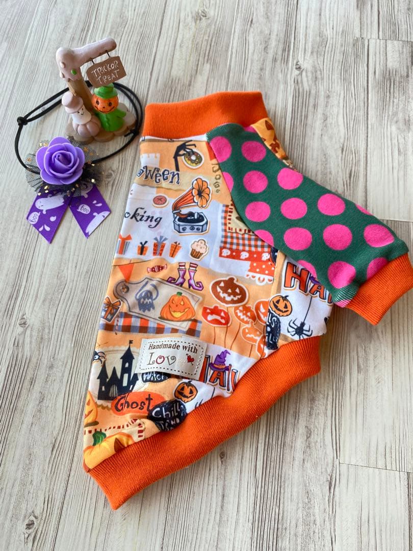 犬服 ラグラン(S) ꒡̈⃝Lily꒡̈⃝ハンドメイド ☻HELLOWEEN☻