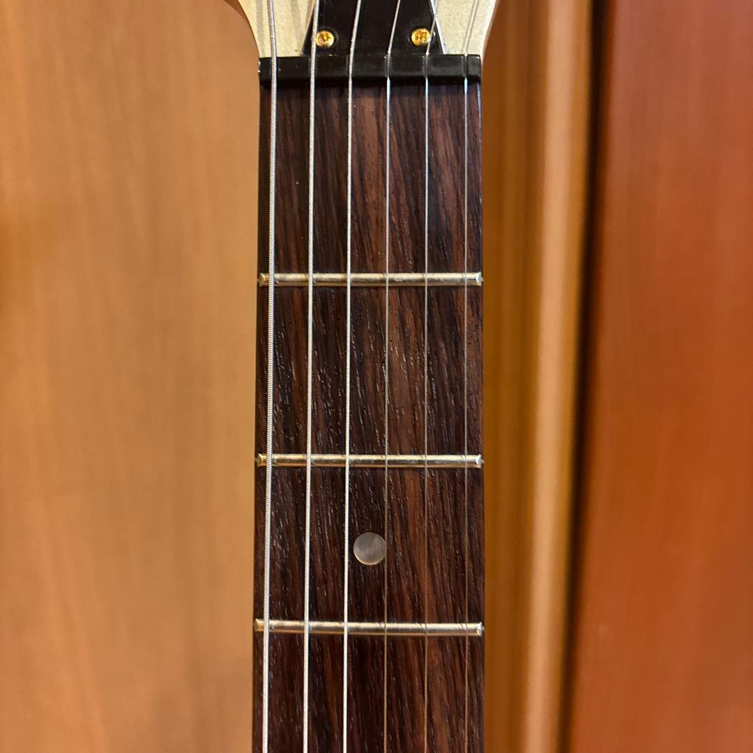 【たっちです】FERNANDES ゴールドパーツ仕様 トレモロアーム付