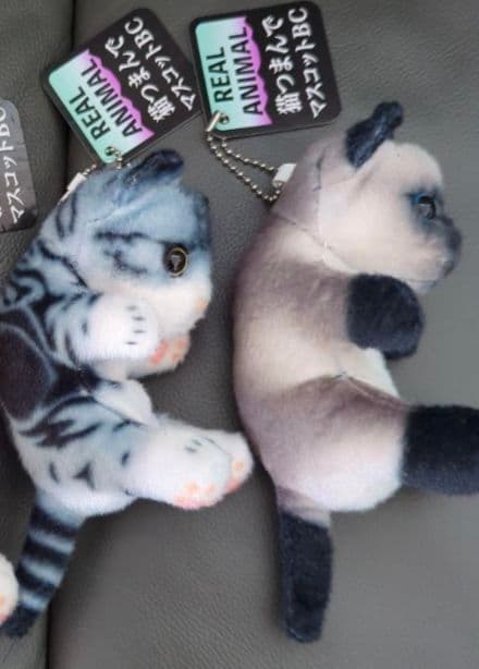 リアル猫 リアルアニマル猫つまんでマスコットBC 猫ぬいぐるみ 2個 セット