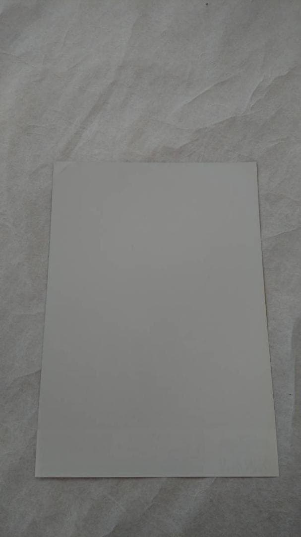 ☆矢沢永吉・2010年・新潟県民会館・上越・富山・本多の森・B5サイズ