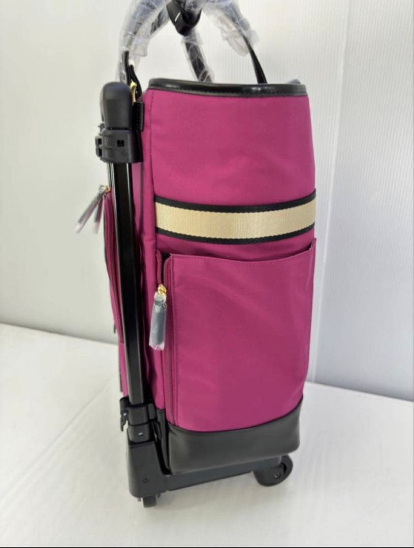 SWANYリボントート D-397 ルル様専用スワニー キャリーバッグ D-397