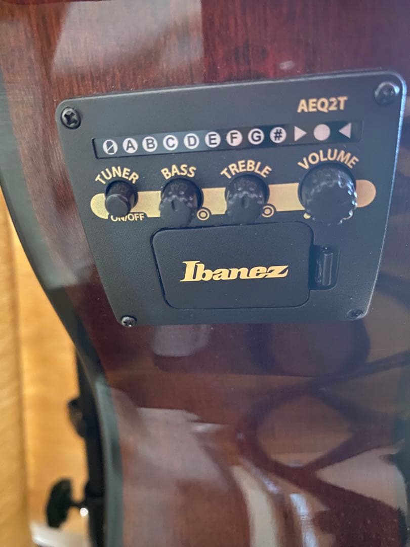 Ibanez アコースティックベース フレットレス ケース付き