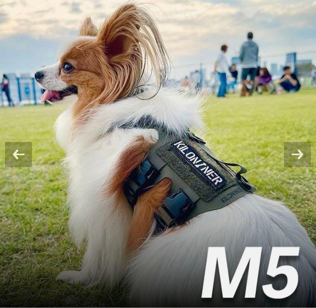 B:Wild 低グレインドッグフード 鹿肉 800g 4個セット