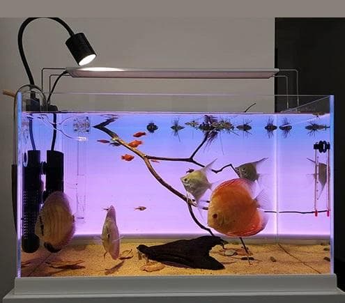 水槽ライトスクリーン30cm×30cm lcl33】カラーLEDライトスクリーン