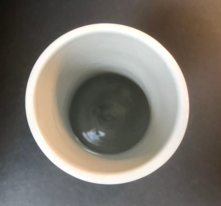 加藤友太郎　釉下彩　友玉園陶寿製　柿木に鴉　花瓶