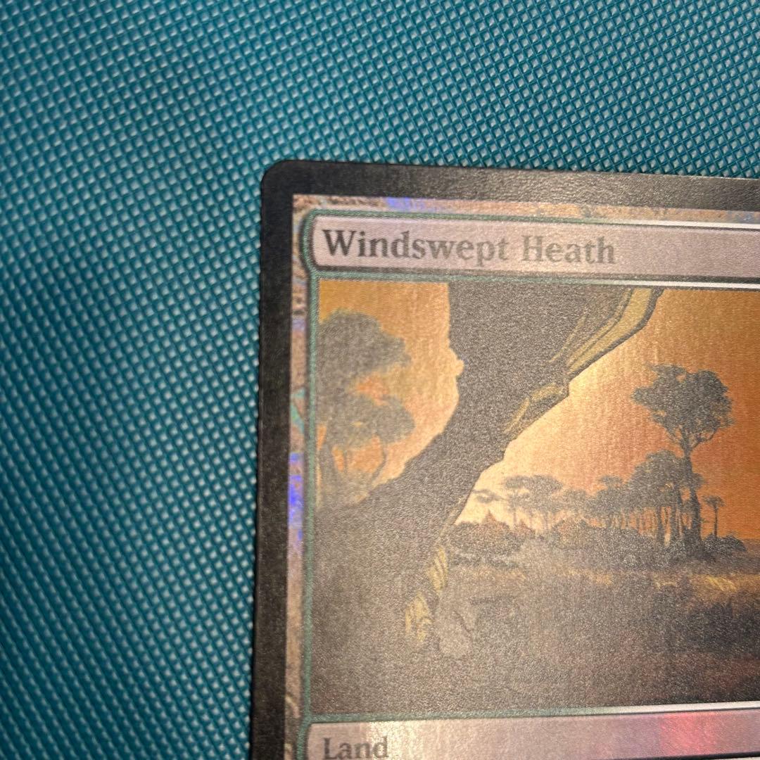 【ジャッジFoil】《吹きさらしの荒野/Windswept Heath》英語