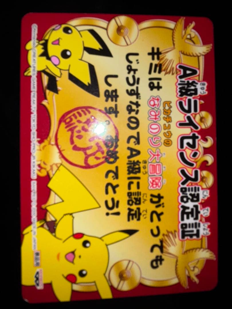 A級ライセンス　認定証　ピカチュウ　なみのり大冒険　ポケモン　2種