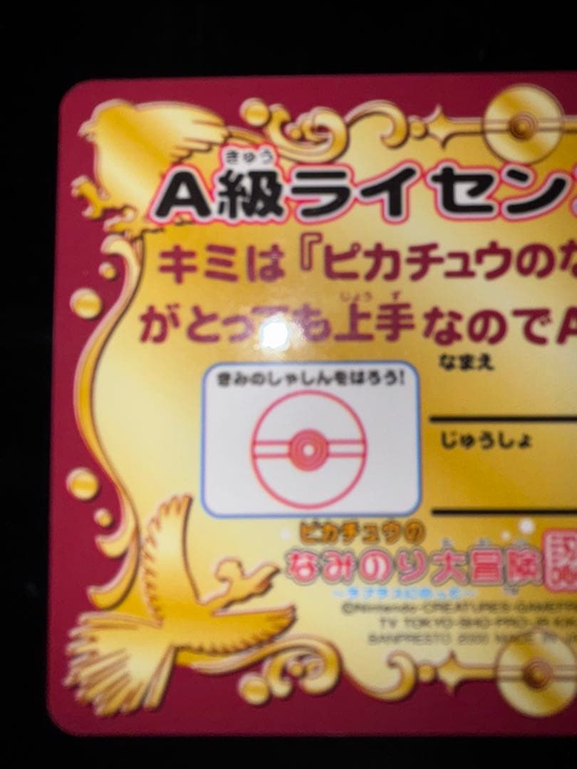 A級ライセンス　認定証　ピカチュウ　なみのり大冒険　ポケモン　2種