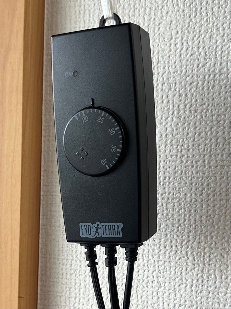 引き取り限定爬虫類飼育セット