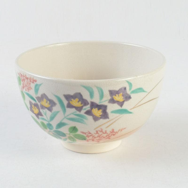 茶道具 白井半七造 色絵 秋草絵 茶碗 銘「涼風」 即中斎極め箱 M