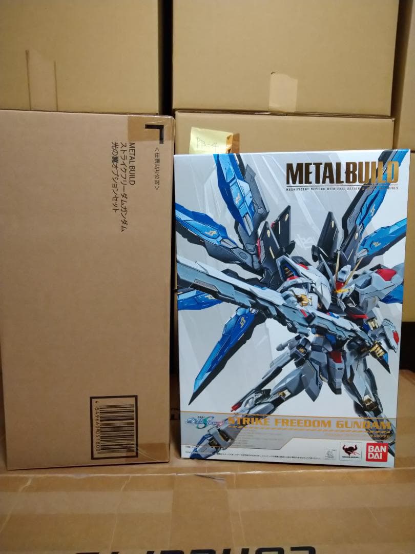 METAL BUILD ストライクフリーダムガンダム 光の翼オプションセット