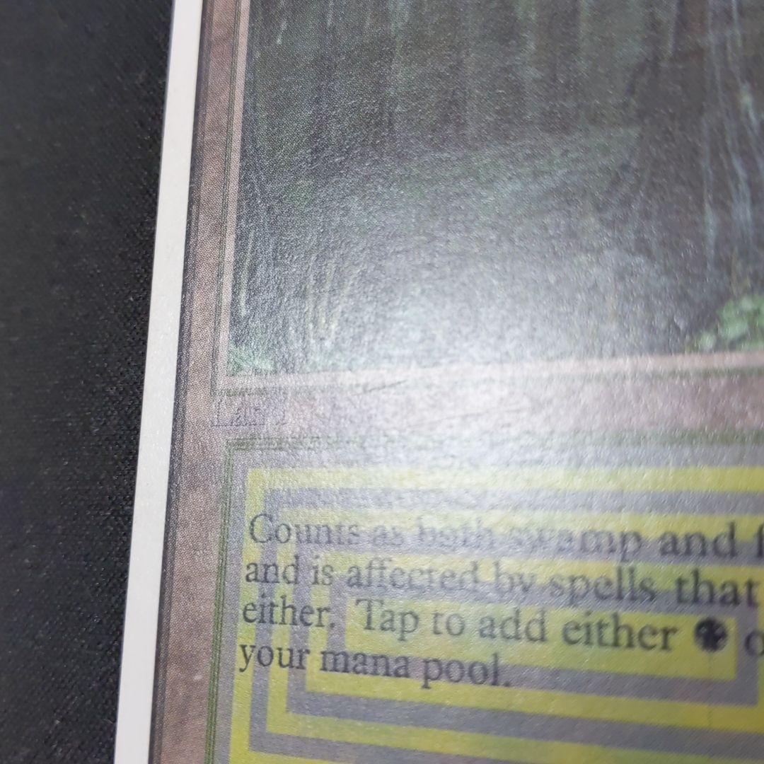 ●【擦れアリ】Bayou　２ED　英語１枚