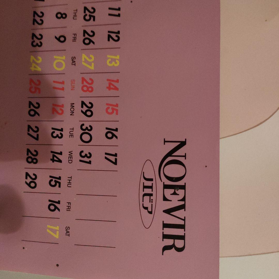 NOEVIR ノエビア カレンダー 1996 表紙無 - メルカリ