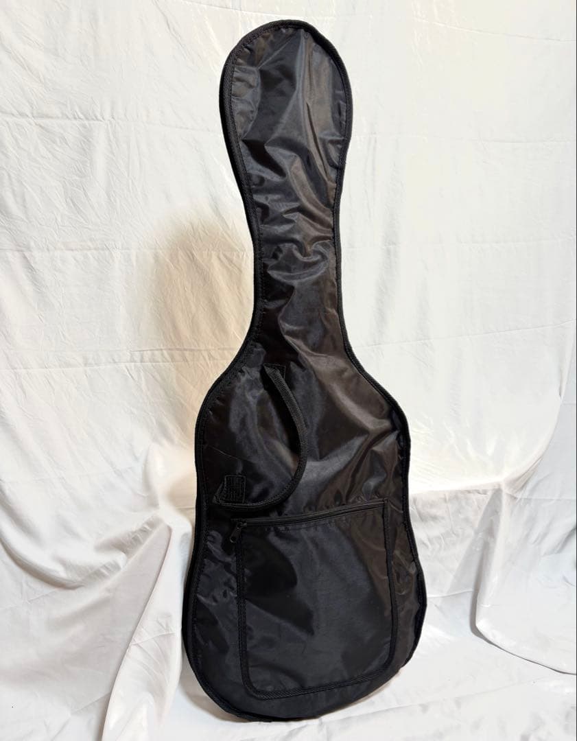 【新品弦張替済】Gypsy Rose ストラトキャスター パープル