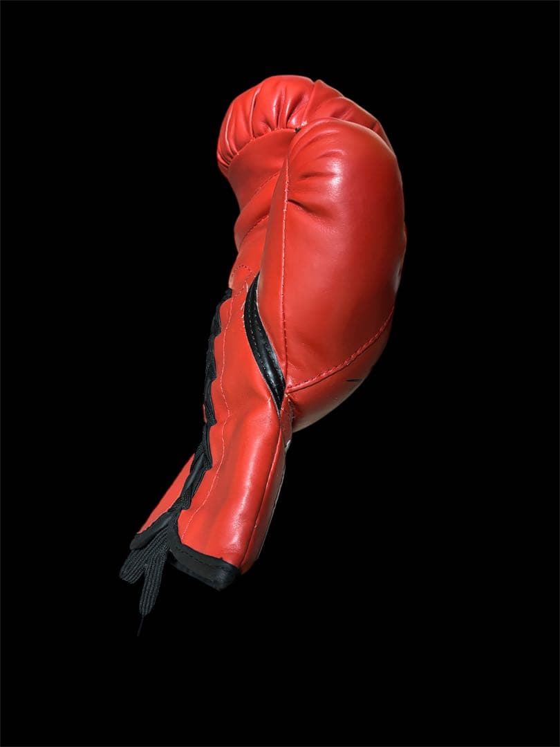 u*f様 山中慎介 直筆サイン入りグローブ WBC バンタム級 V11 赤 - メルカリ