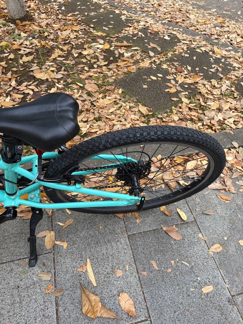 Bianchi Pirata 24インチ 点検済み 直接引き渡し