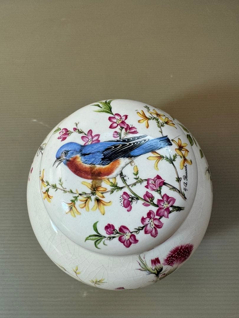 2789 ロイヤルコールドン Royal Cauldon 花鳥 茶壺