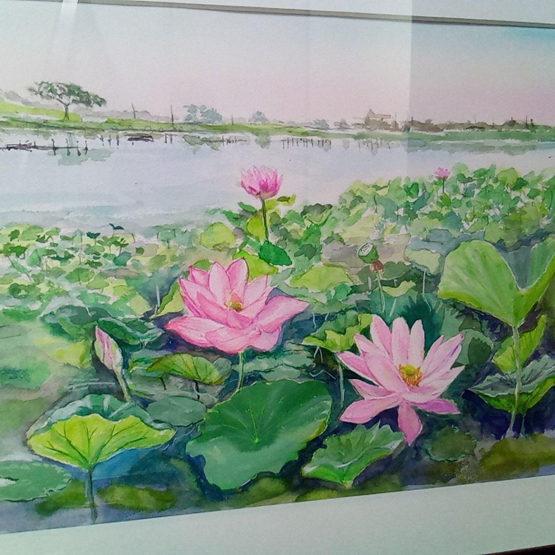 川越　伊佐沼　古代蓮　(水彩画)