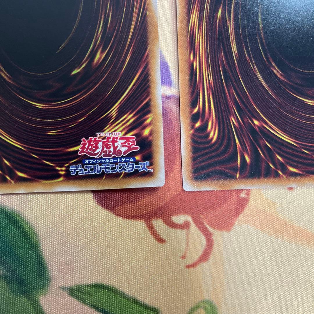 灰流うらら　25thシークレット　2枚