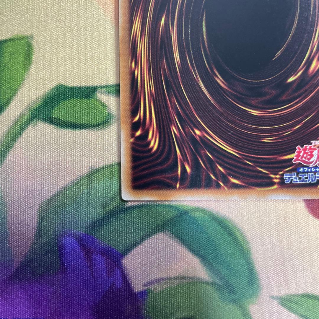 灰流うらら　25thシークレット　2枚