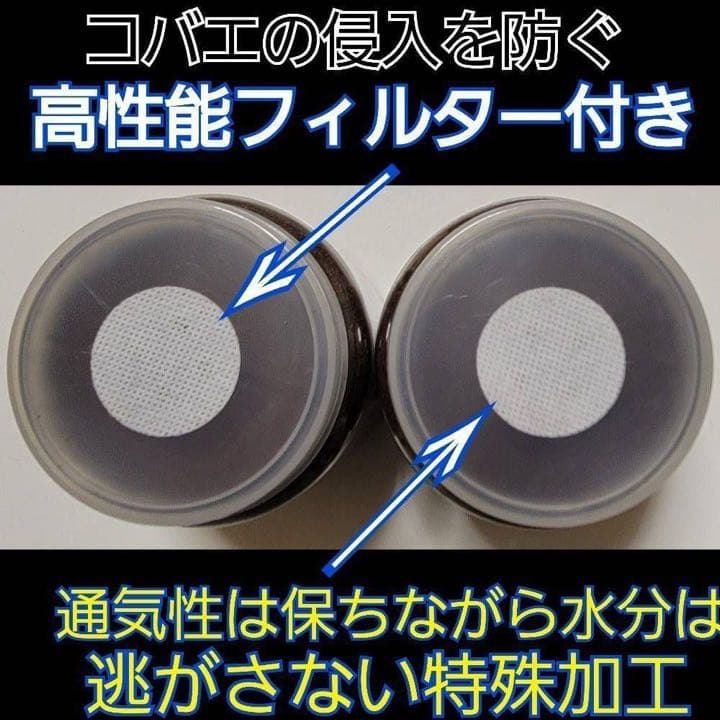 ミヤマクワガタ、ノコギリ幼虫に抜群！800mlボトル入プレミアム発酵