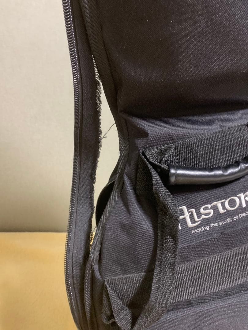 Britz by Aria ProII Leopard les paul タイプ