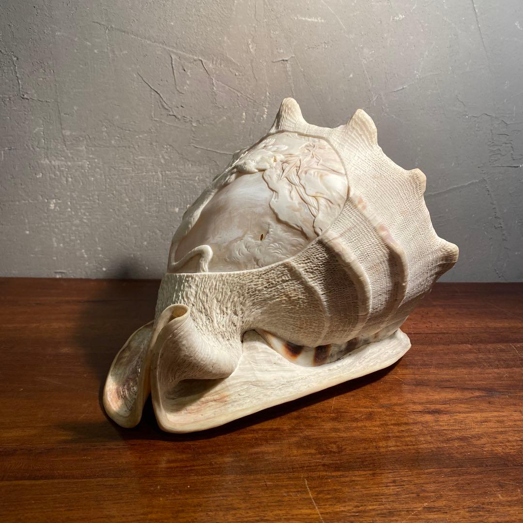 トウカムリガイ 彫刻 アート オブジェ 白虎 置物 骨董品 コレクション25cm