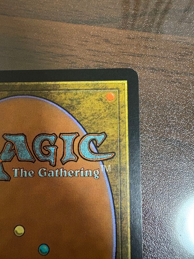 Polluted Delta 汚染された三角州