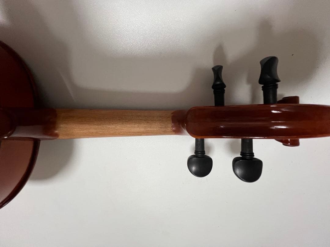 Eastman SVL80セット 4/4 バイオリン 初心者セット イーストマン