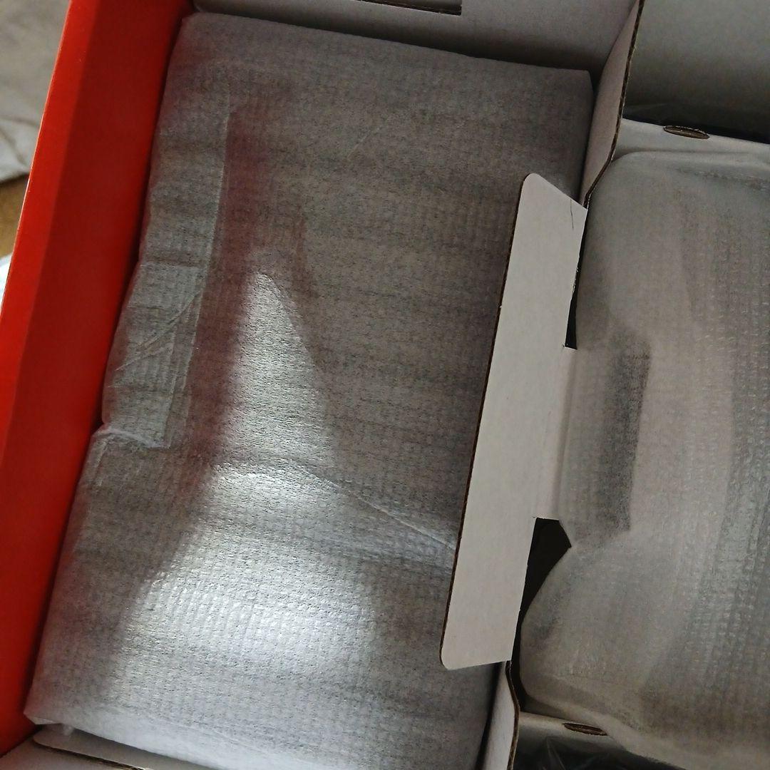 Nintendo Switch 本体　（ケース付き　最後の画像参照）