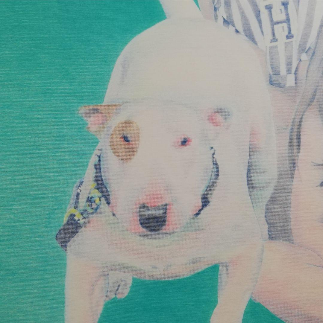 色鉛筆画 イラストレーション ジグソーパズル原画「ホリディ」