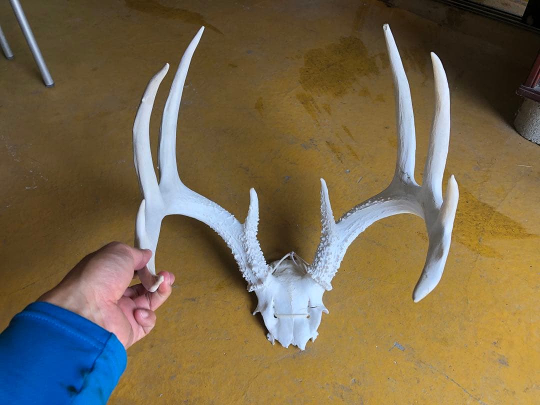 大型黄銅龍頭印章 旧家蔵出し、縁起物、骨董品、風水置物、地位、権威