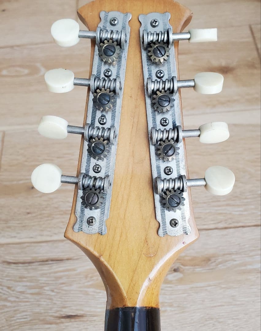 鈴木バイオリン ヴィンテージ マンドリン