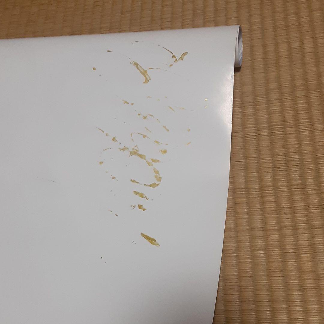 映画　サンブンノイチ　藤原竜也　直筆サイン入り　ポスター