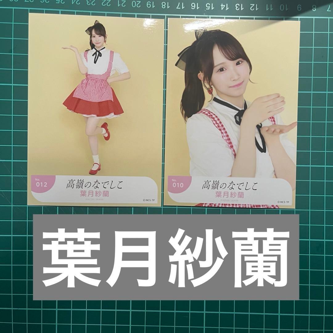 高嶺のなでしこ葉月紗蘭東山恵里沙チェキ