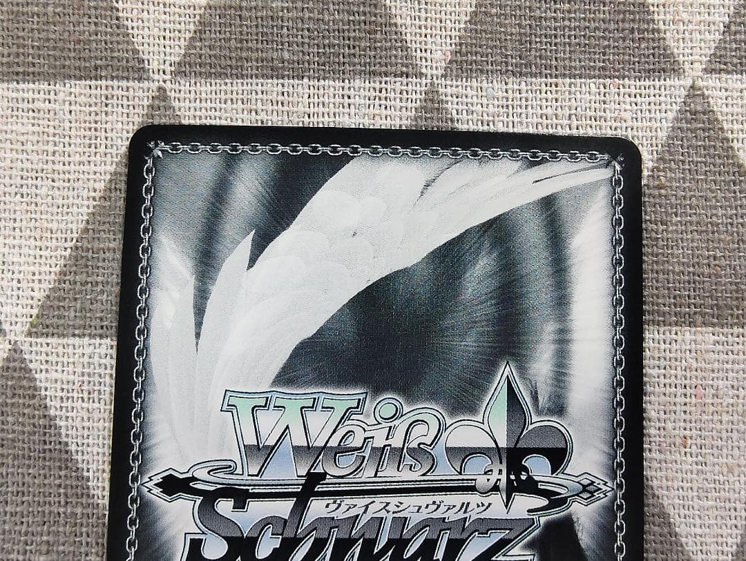 仲間を守る為の剣 エルザ SEC＋ ヴァイスシュヴァルツ