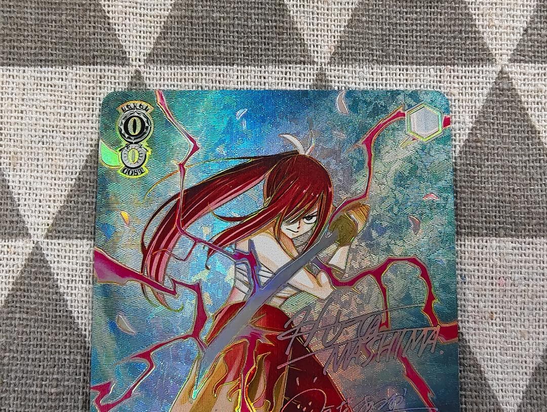 仲間を守る為の剣 エルザ SEC＋ ヴァイスシュヴァルツ