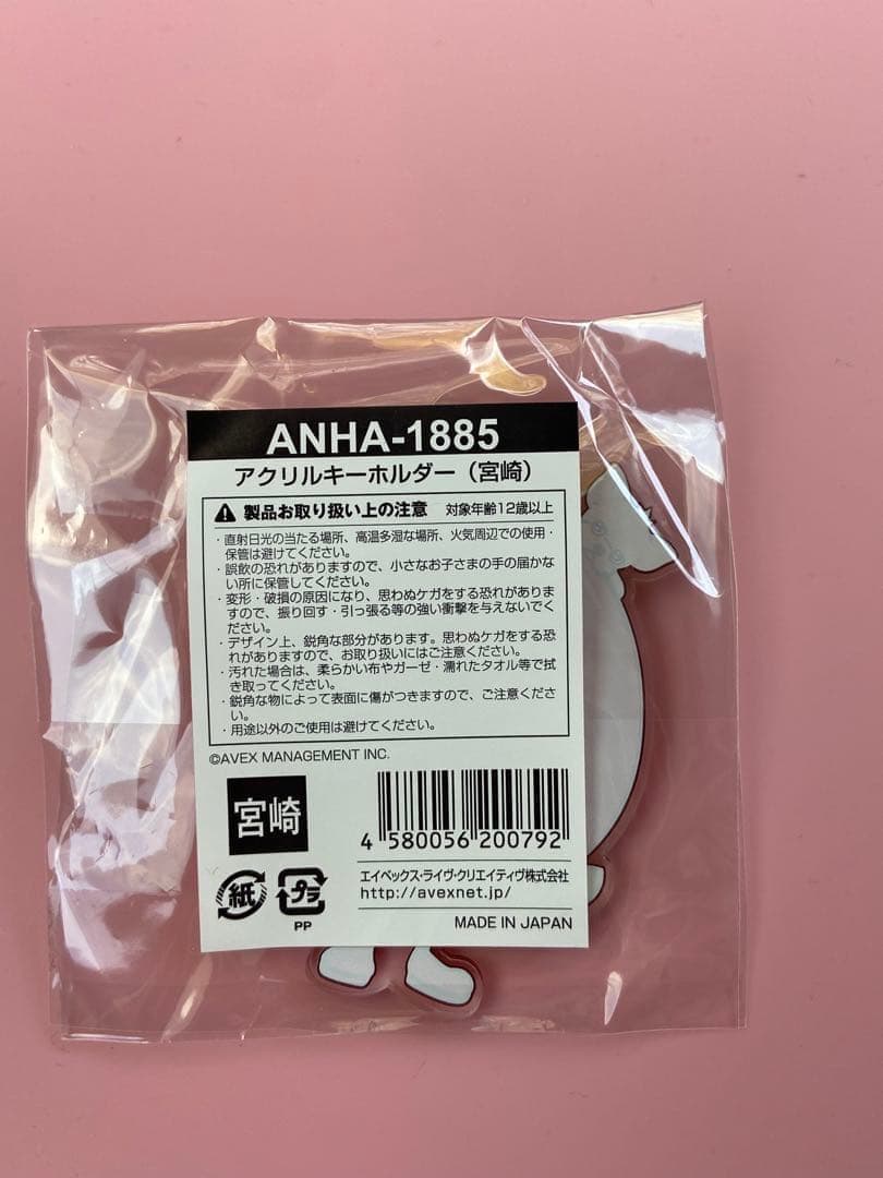 浜崎あゆみ 25th Live ご当地アクリルキーホルダー 鹿児島、宮崎の2個