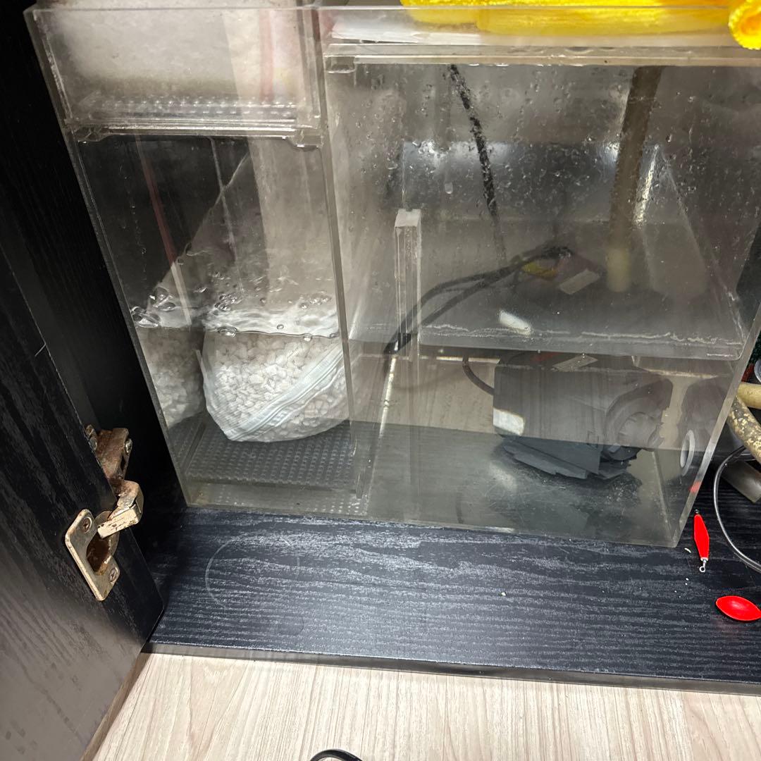 60cmワイドオーバーフロー水槽 大型 フィルター付き クーラー